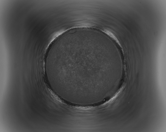 X0000087420781200705041307