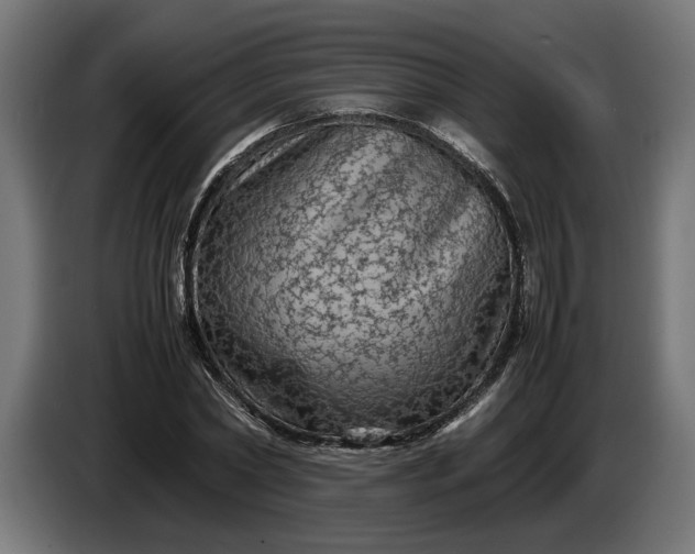 X0000087420782200705041307
