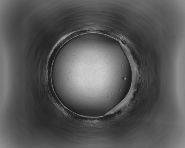 X0000087420784200705041307