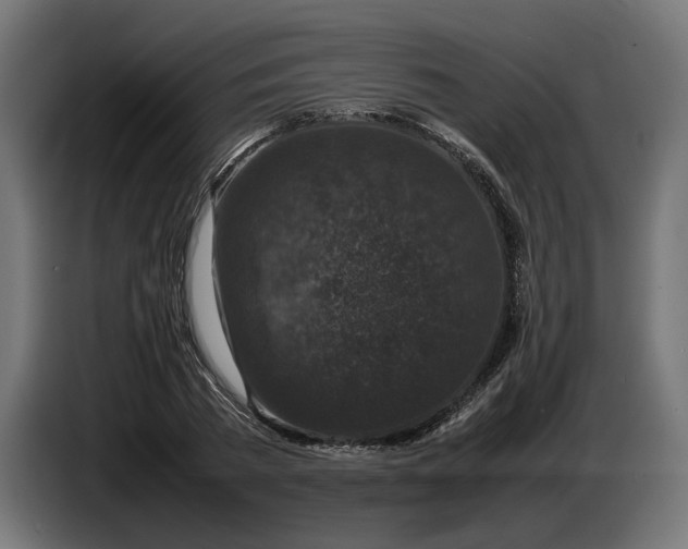 X0000087420785200705041307