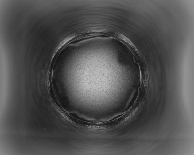 X0000087420786200705041307