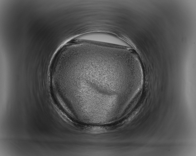 X0000087420787200705041307