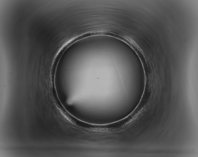 X0000087420789200705041307