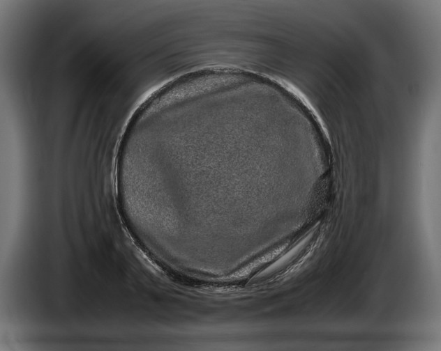 X0000087420791200705041307