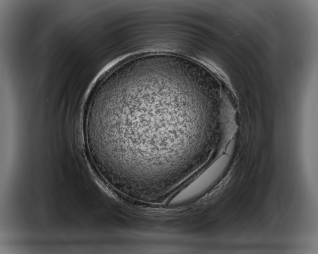 X0000087420792200705041307