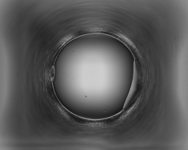 X0000087420793200705041307