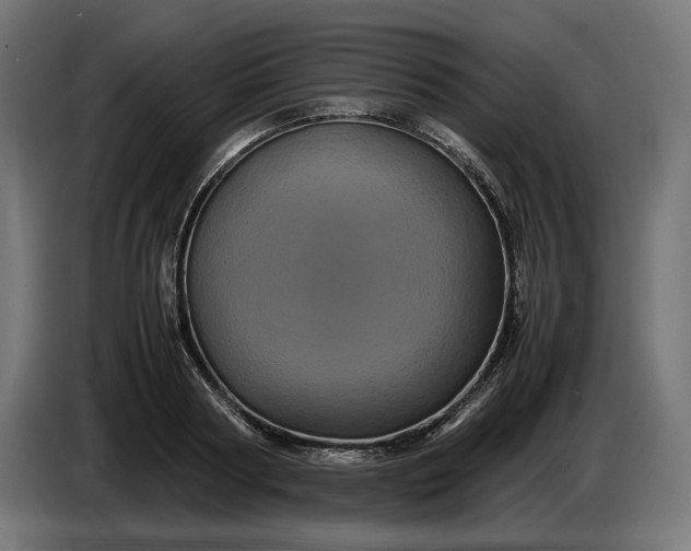 X0000087420794200705041307