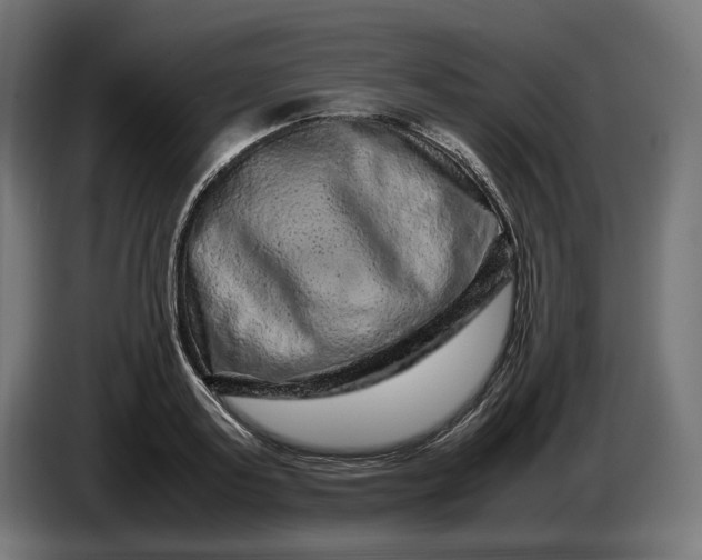 X0000087420795200705041307