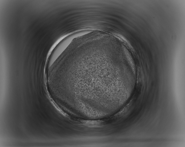 X0000087420796200705041307