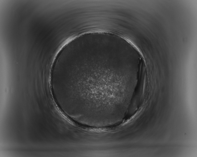 X0000087420797200705041307