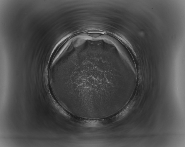 X0000087420798200705041307