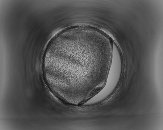 X0000087420799200705041307
