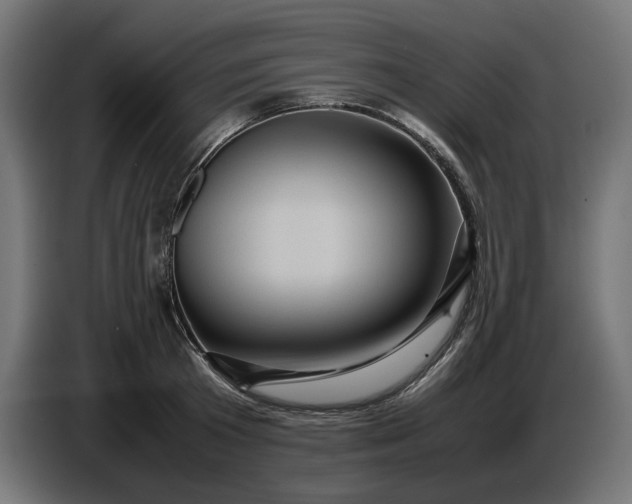 X0000087420801200705041307