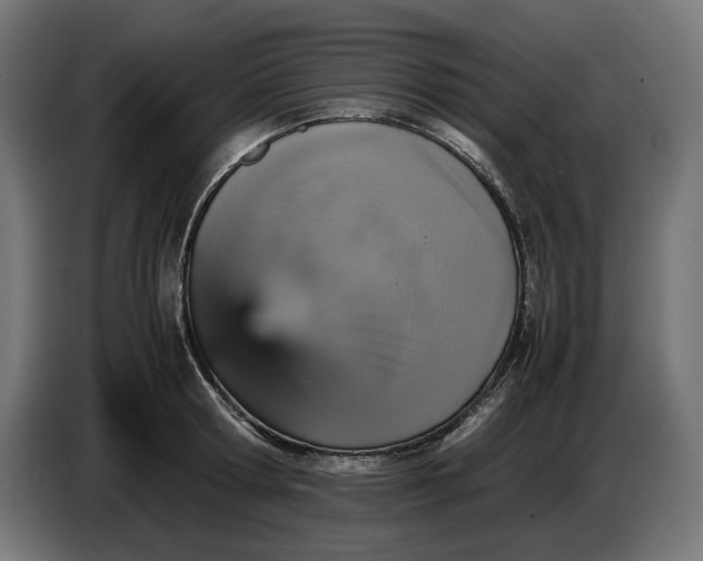 X0000087420802200705041306