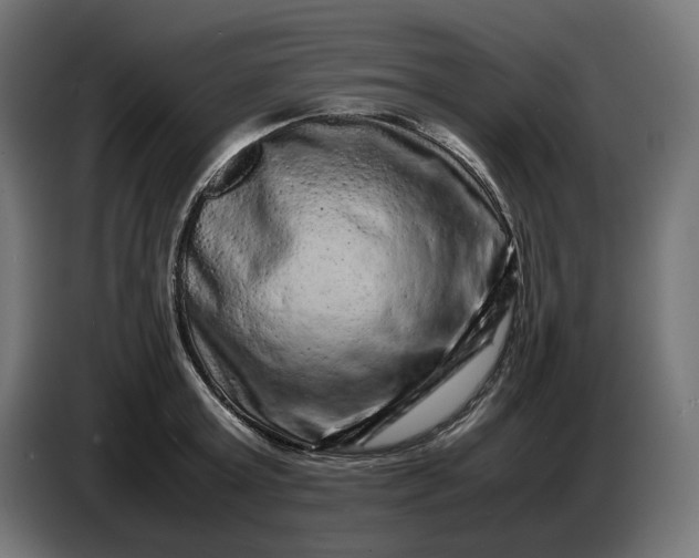 X0000087420803200705041306