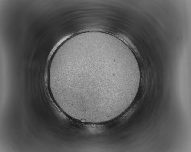 X0000087420804200705041306