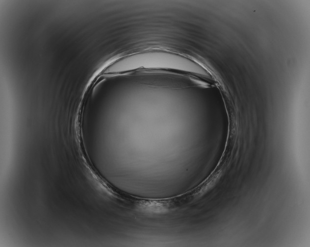 X0000087420806200705041306