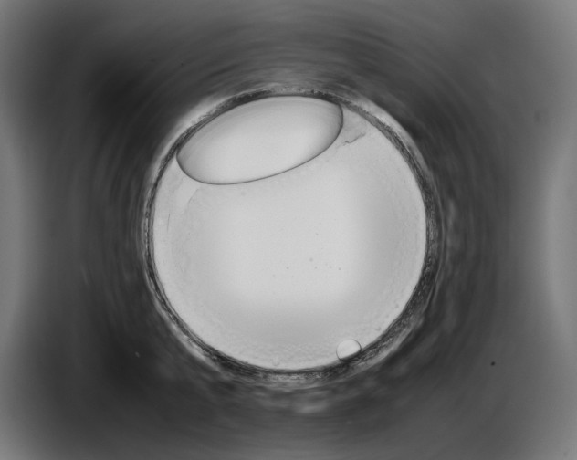 X0000087420807200705041306