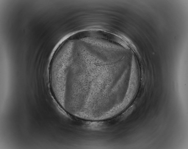 X0000087420808200705041306