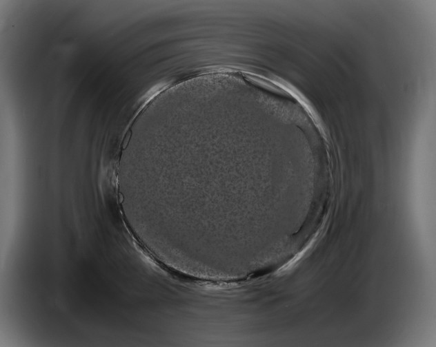 X0000087420809200705041306