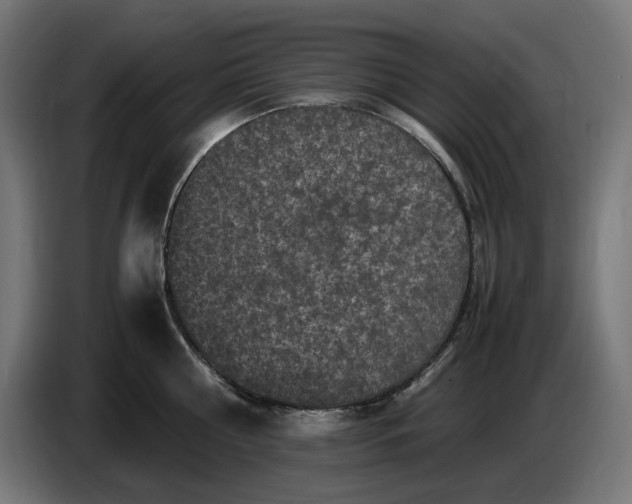 X0000087420810200705041306