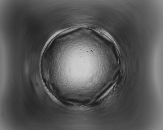 X0000087420811200705041306