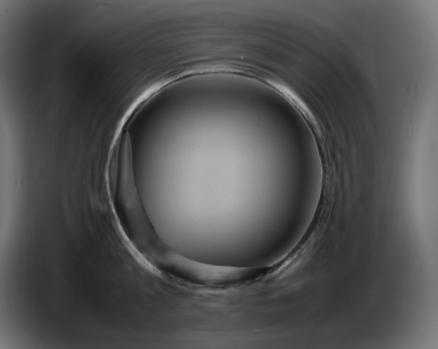 X0000087420813200705041306