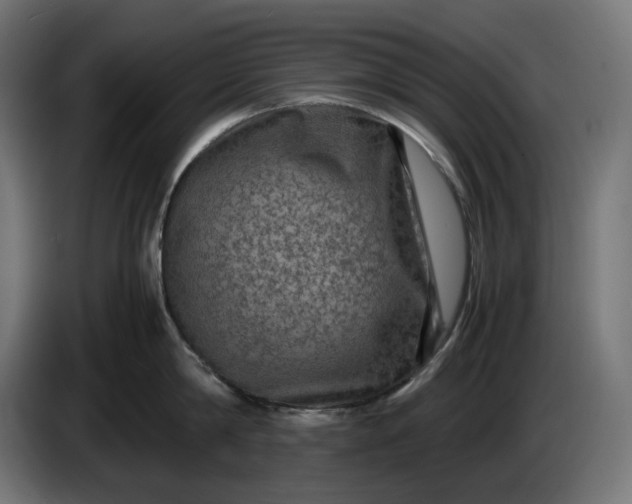 X0000087420814200705041306