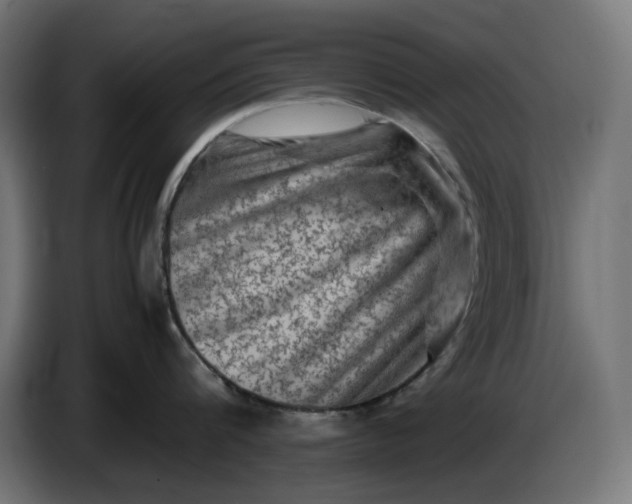 X0000087420816200705041306