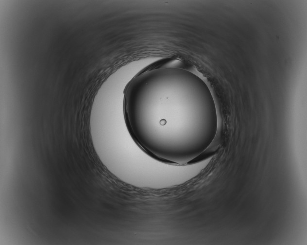 X0000087420818200705041306