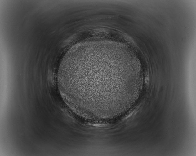 X0000087420819200705041306