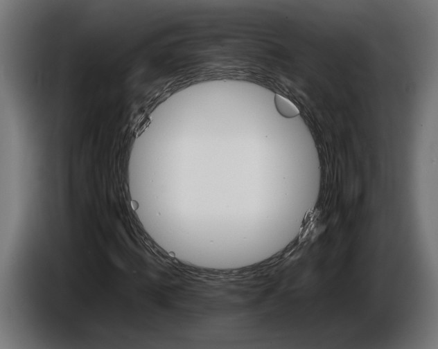 X0000087420820200705041306