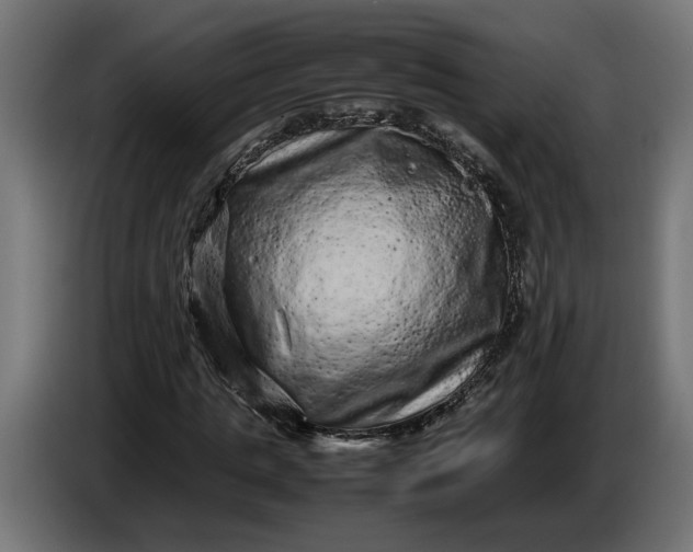 X0000087420821200705041306