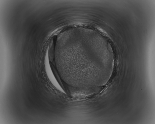 X0000087420822200705041306