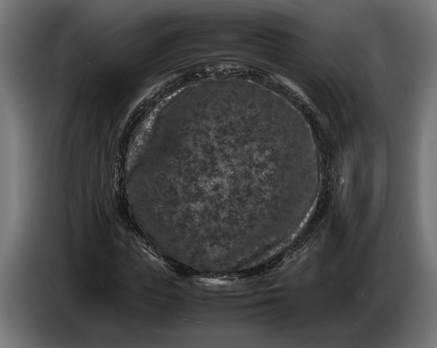 X0000087420823200705041306