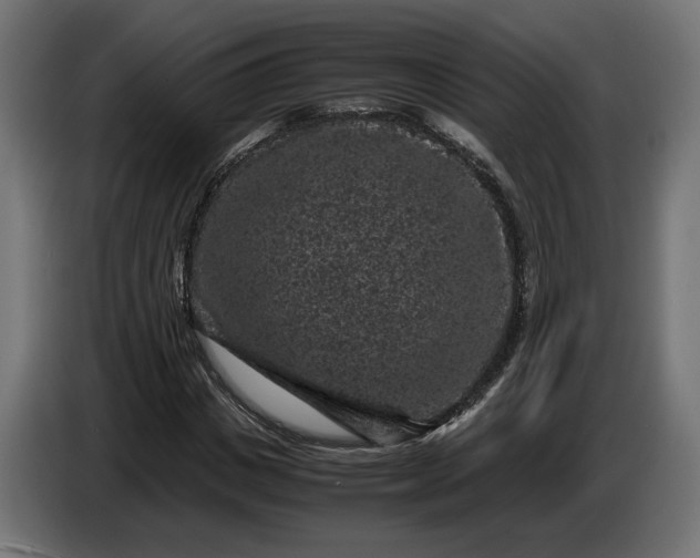 X0000087420825200705041306