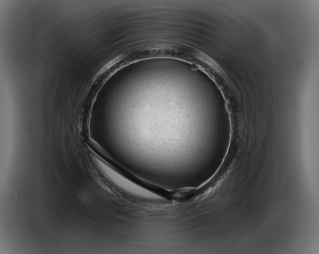 X0000087420826200705041306