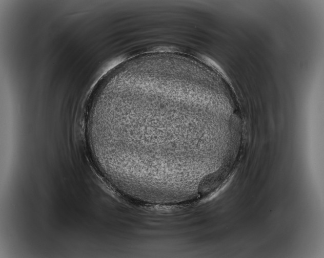 X0000087420827200705041306
