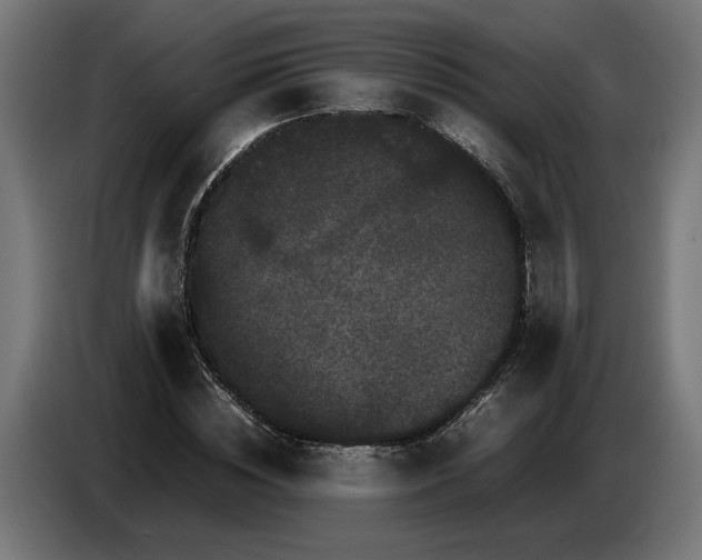 X0000087420828200705041306
