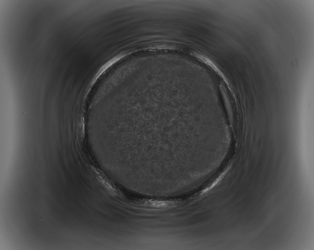 X0000087420829200705041306