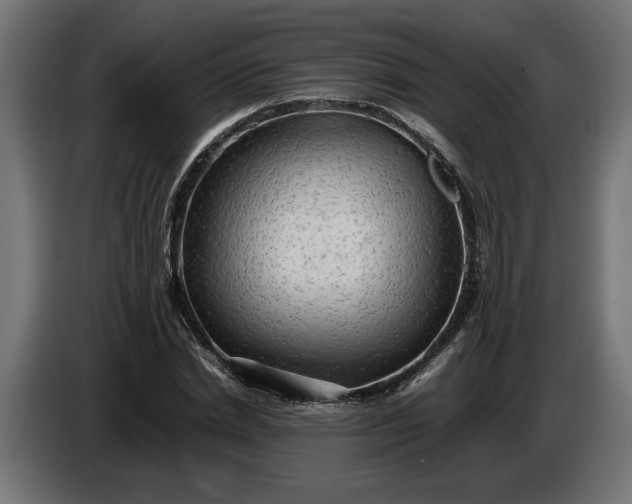 X0000087420830200705041306