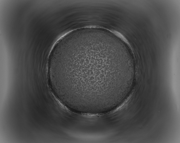 X0000087420831200705041306