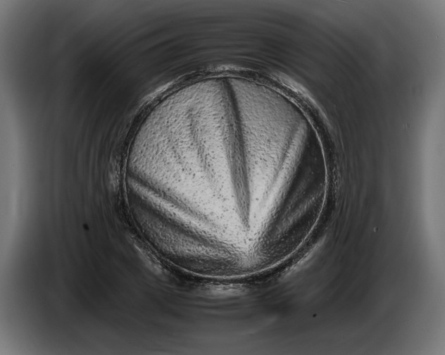 X0000087420833200705041306