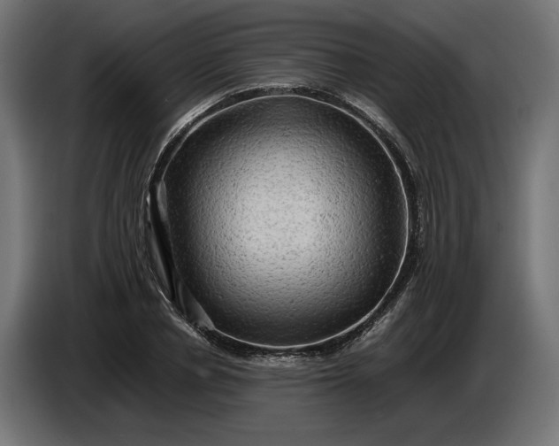 X0000087420834200705041306