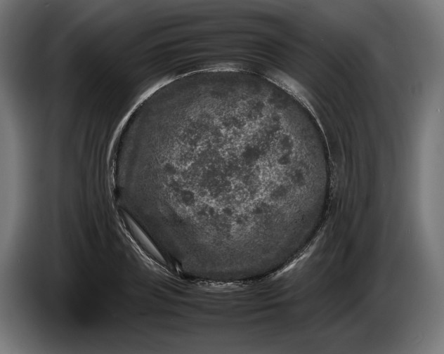X0000087420835200705041306