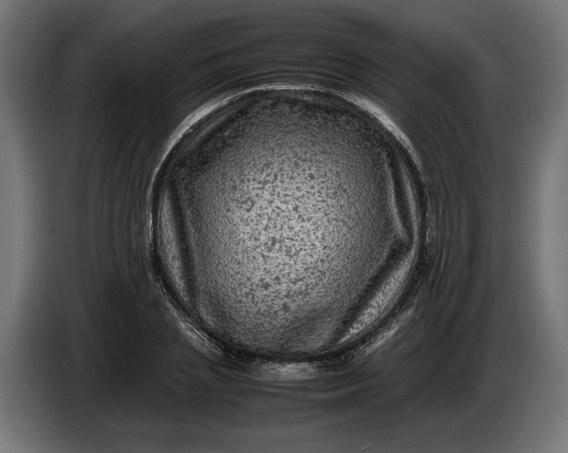 X0000087420837200705041306