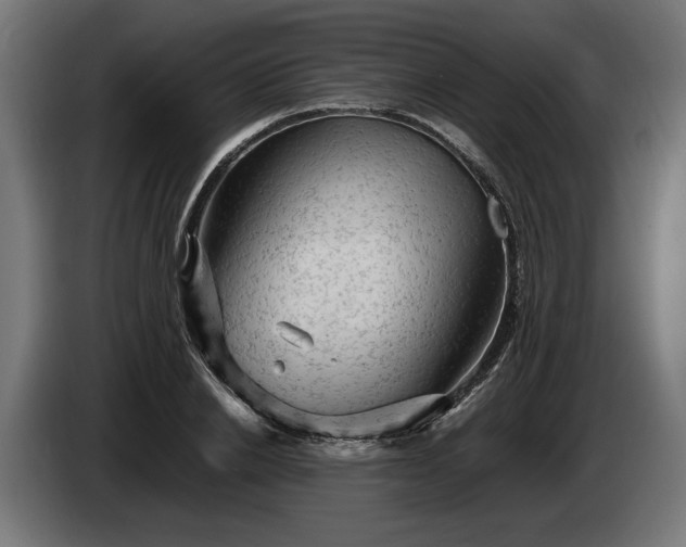 X0000087420838200705041306