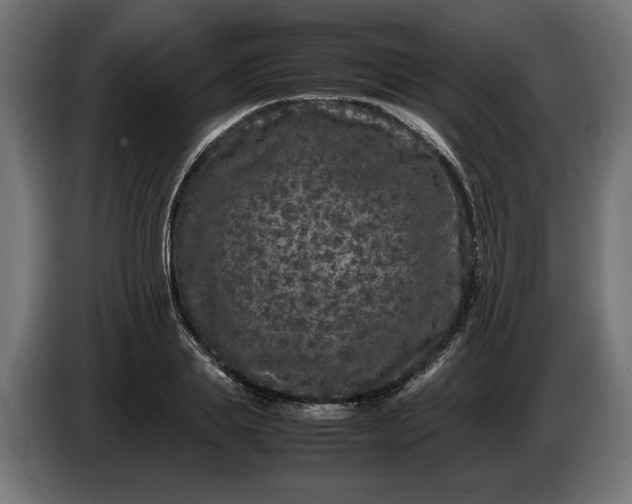 X0000087420839200705041306