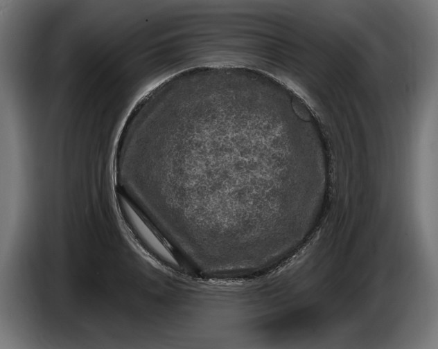 X0000087420840200705041306