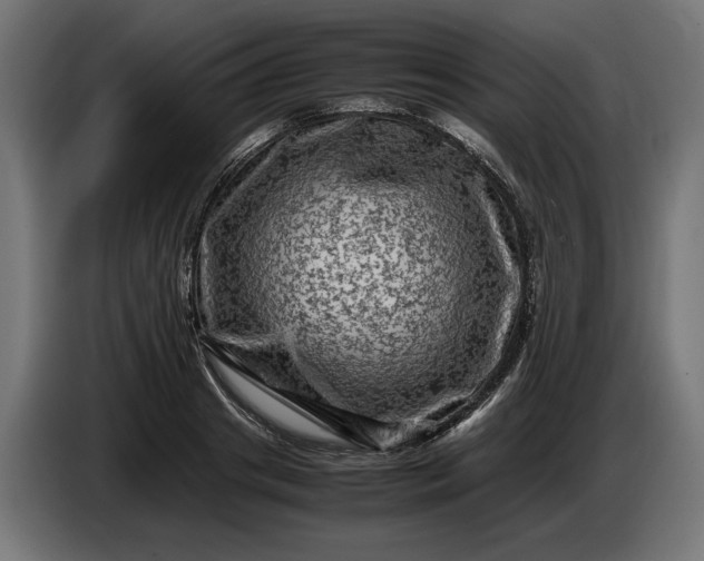 X0000087420841200705041306